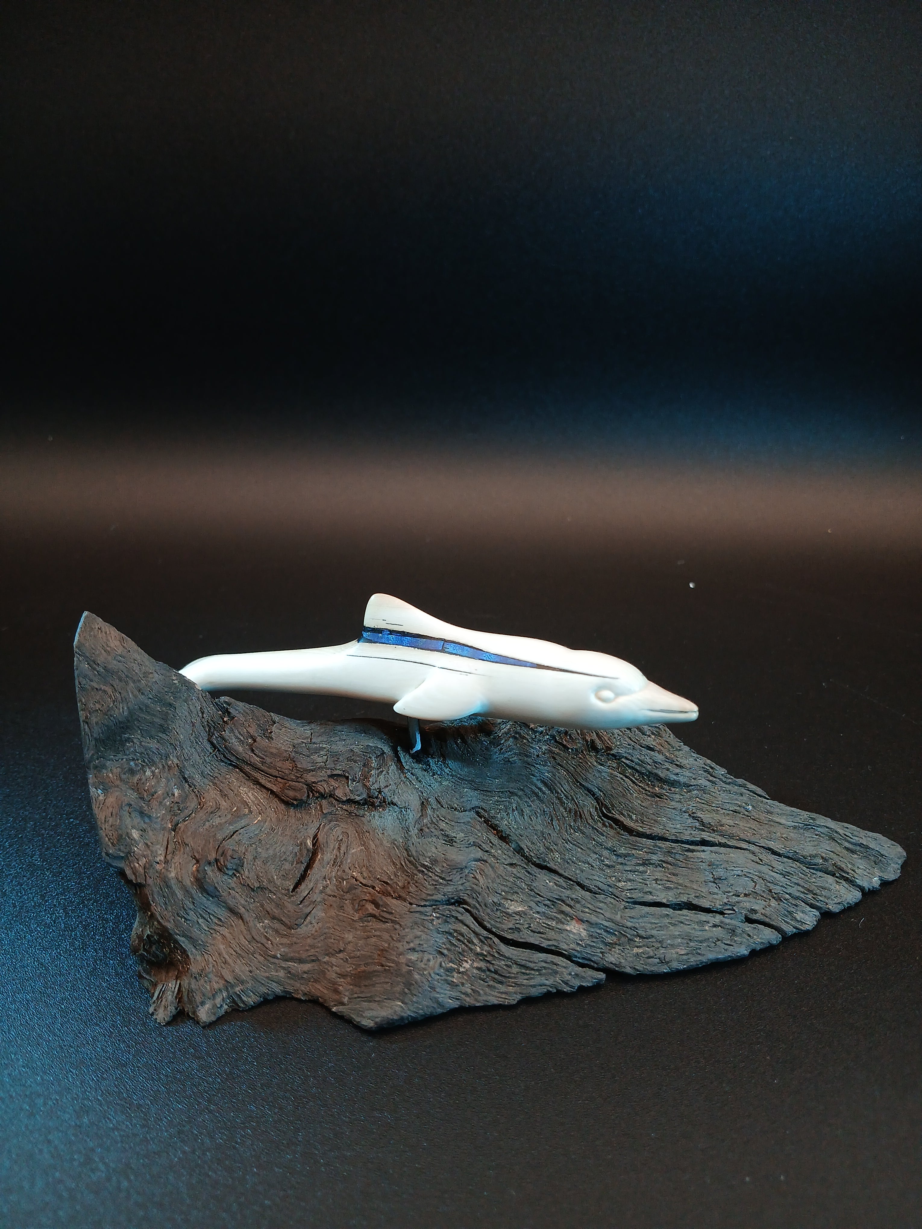Delphin auf Welle