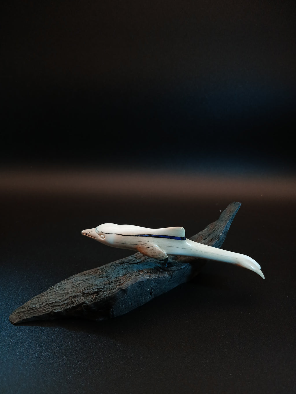 Delphin auf Welle