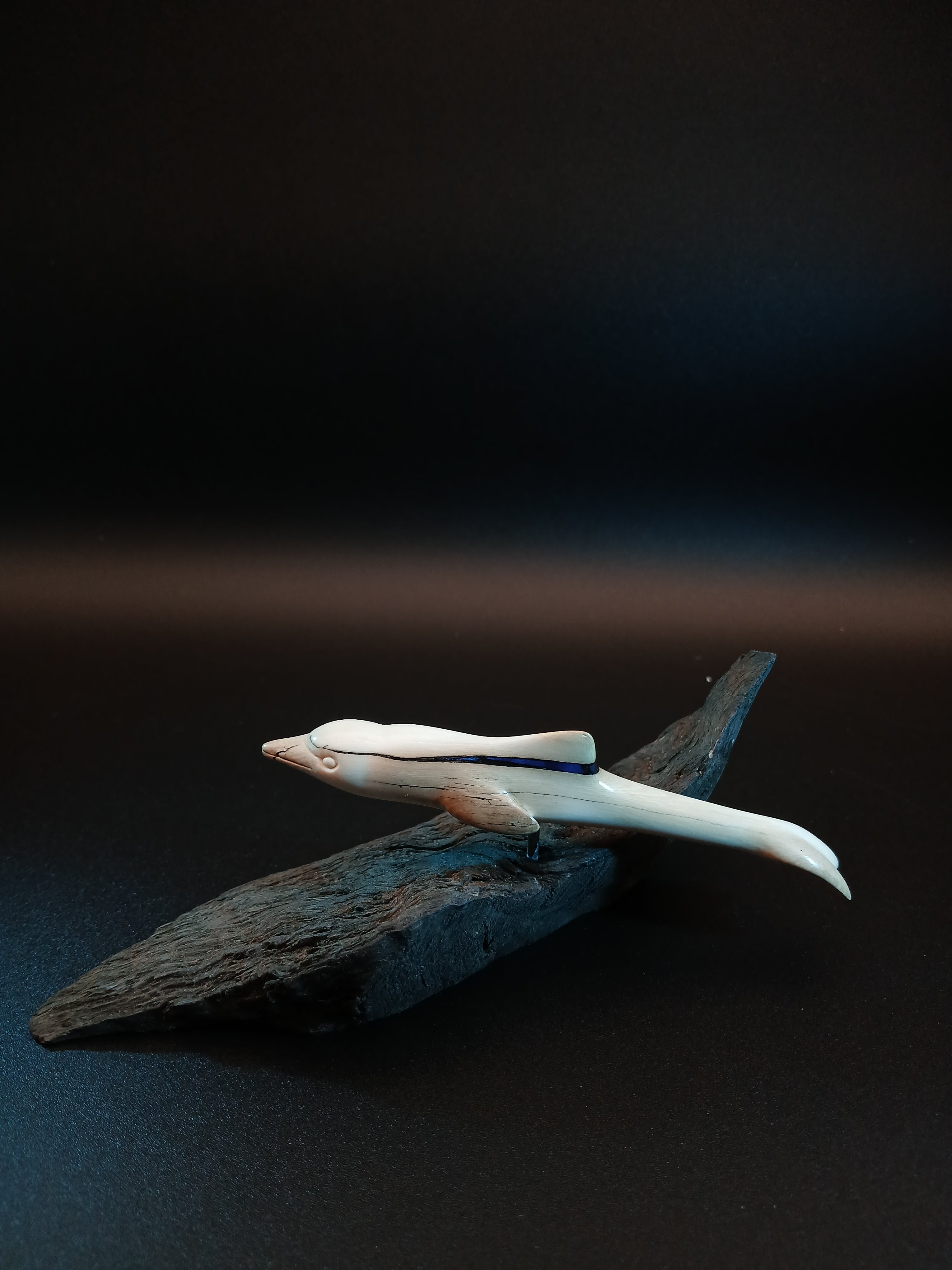 Delphin auf Welle