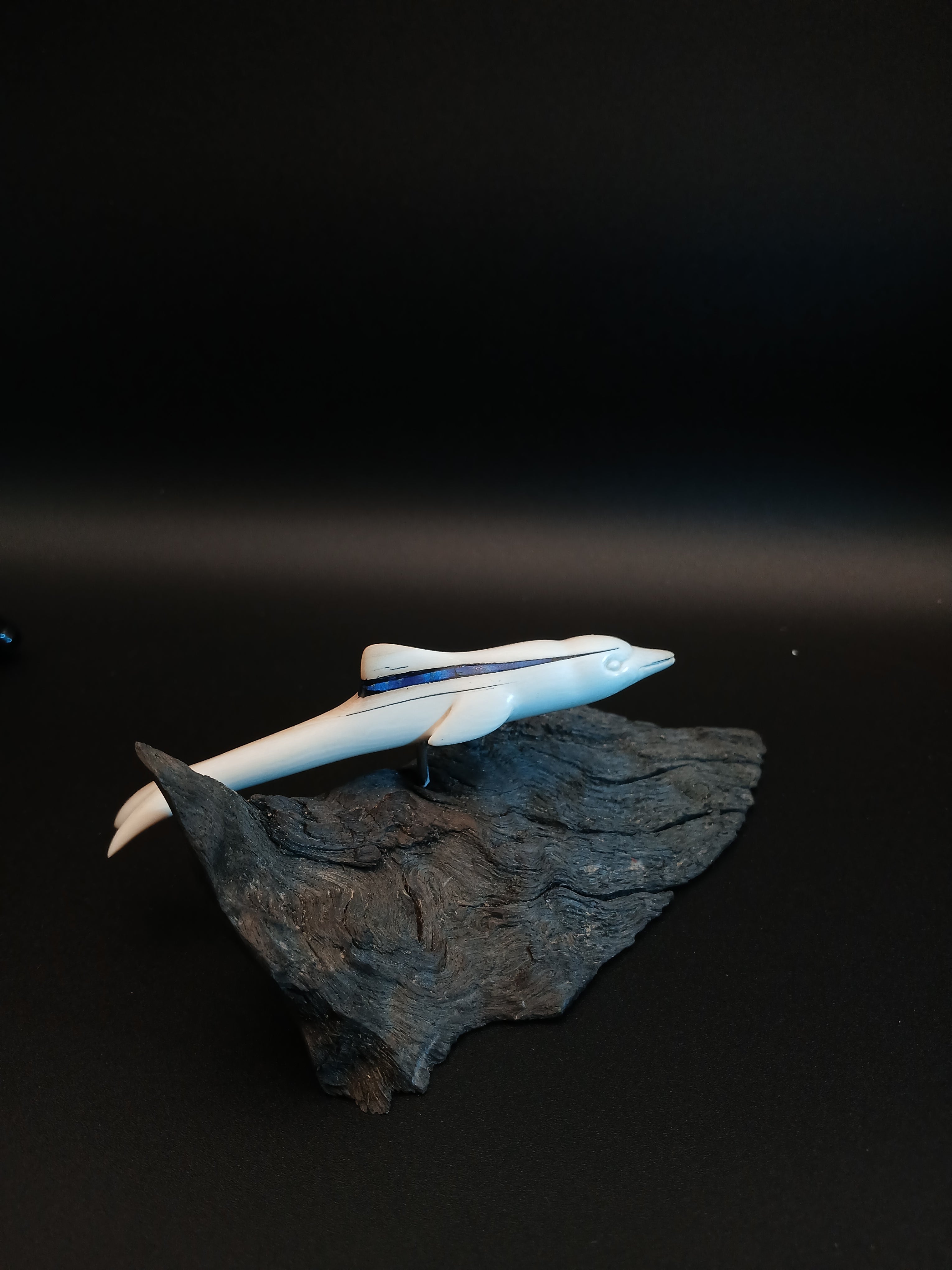 Delphin auf Welle