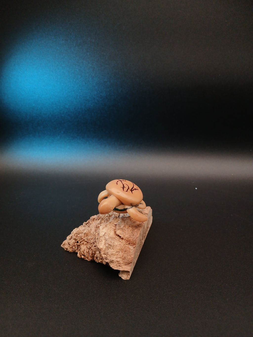 Schildkröte auf Riff