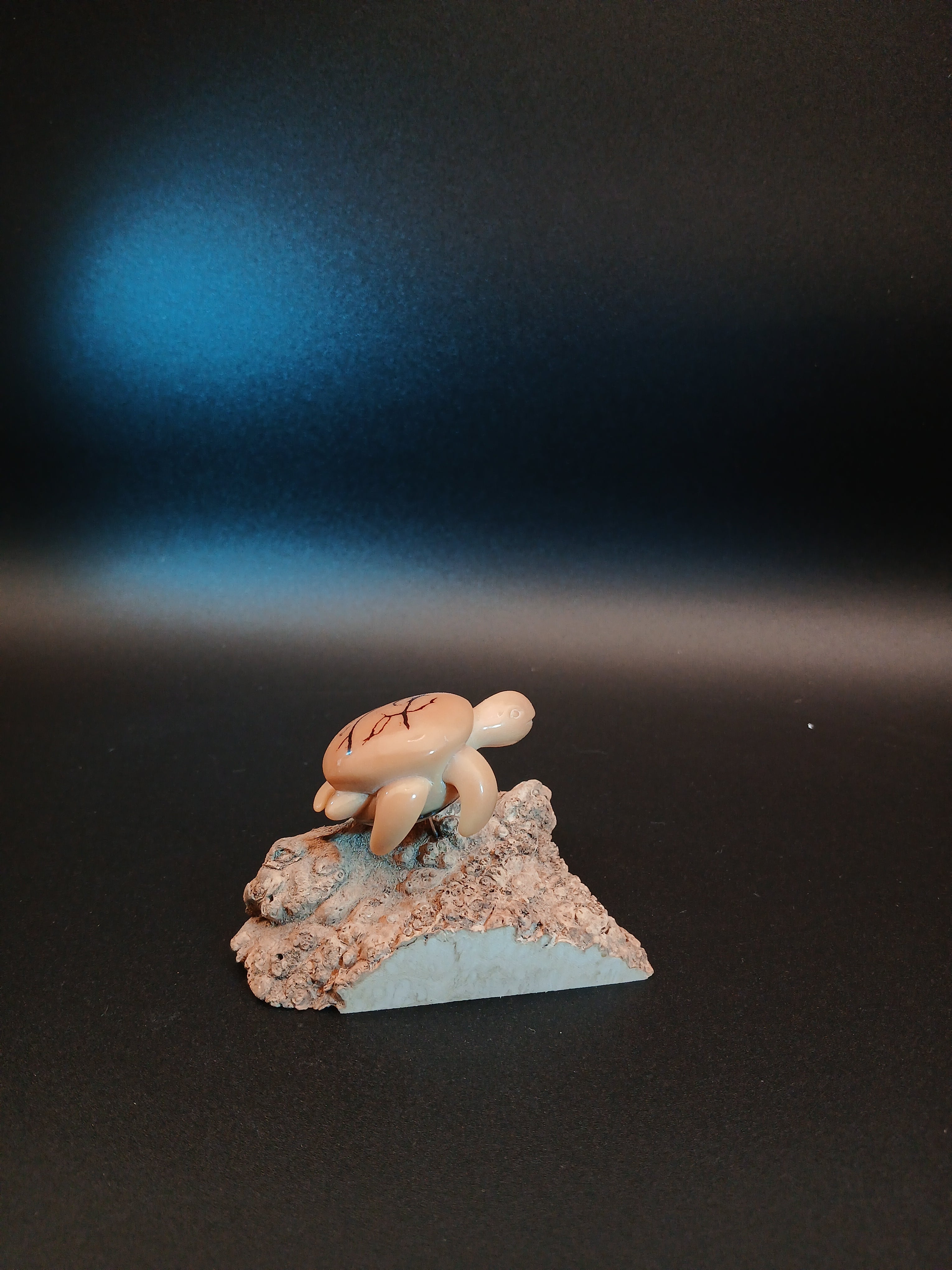 Schildkröte auf Riff